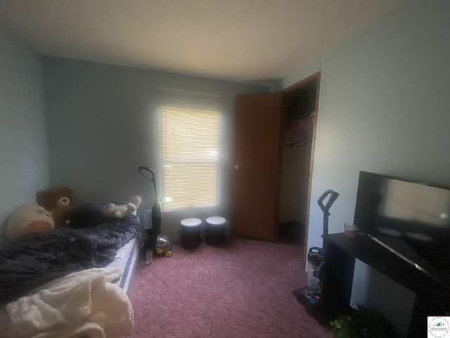420 N Poplar St, Appleton City, MO 64724 - photo 9