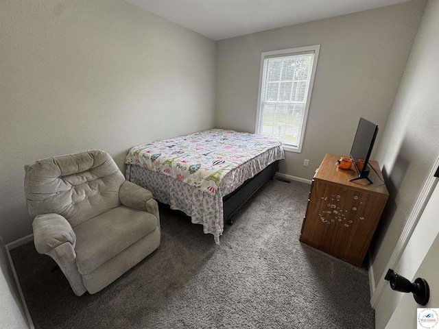 103 SW 95th Rd, Warrensburg, MO 64093 - photo 20