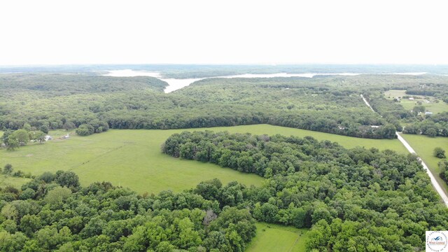 386 SE 1151st Rd, Clinton, MO 64735 - view of yard