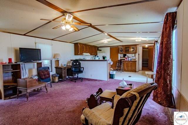 386 SE 1151st Rd, Clinton, MO 64735 - living room featuring carpet, a ceiling fan, and a textured ceiling