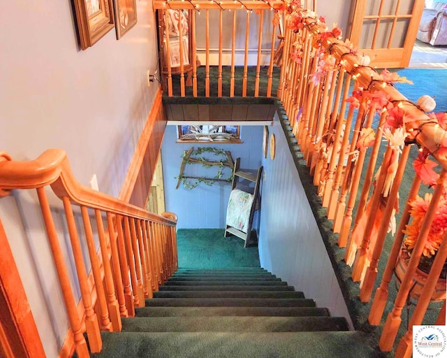 staircase featuring carpet flooring
