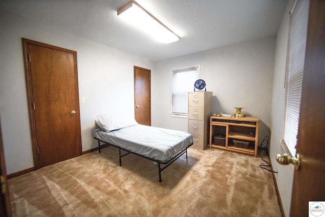 view of carpeted bedroom