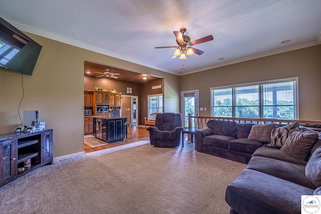 1766 NW M Hwy, Clinton, MO 64735 - living room featuring ceiling fan, light carpet, ornamental molding, and a textured ceiling