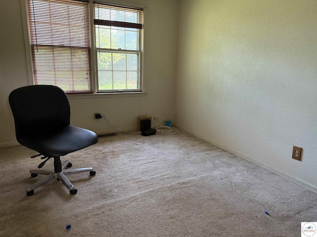 210 Salem Ave, Knob Noster, MO 65336 - unfurnished room featuring carpet floors, healthy amount of natural light, and a textured wall