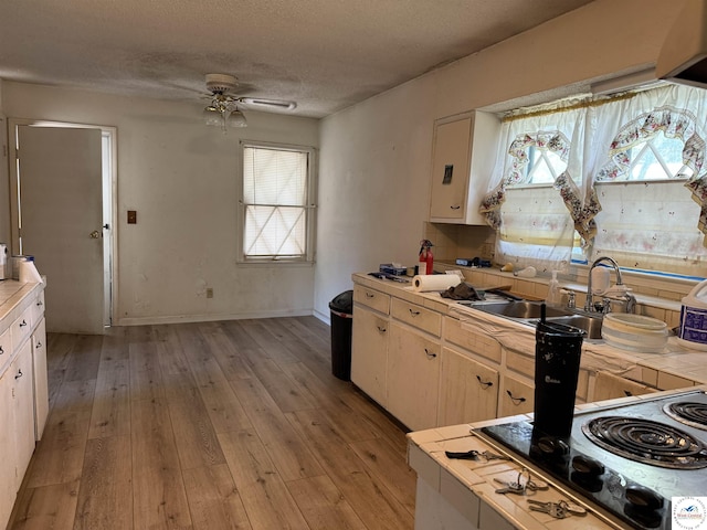 210 Salem Ave, Knob Noster, MO 65336 - kitchen with electric cooktop, light wood-style flooring, a ceiling fan, healthy amount of natural light, and a textured ceiling