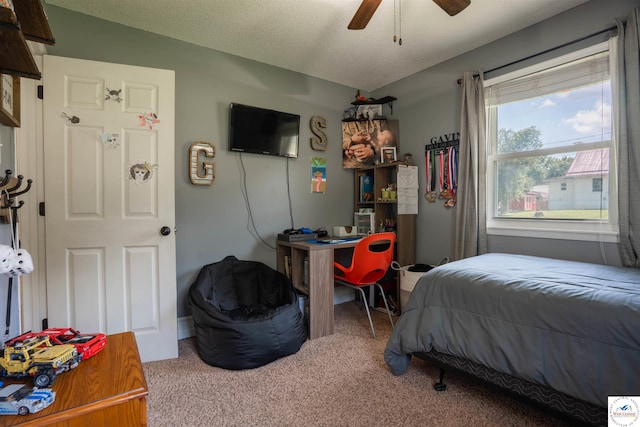 416 W Osage St, Warsaw, MO 65355 - bedroom with carpet floors and a textured ceiling