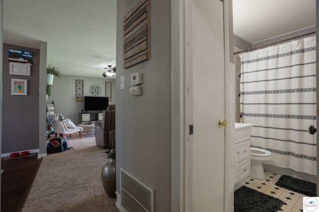 416 W Osage St, Warsaw, MO 65355 - bathroom with vanity, a shower with curtain, and a textured ceiling