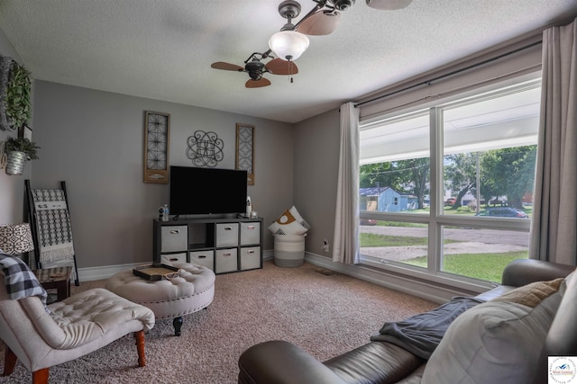 416 W Osage St, Warsaw, MO 65355 - living area featuring ceiling fan, carpet flooring, and a textured ceiling