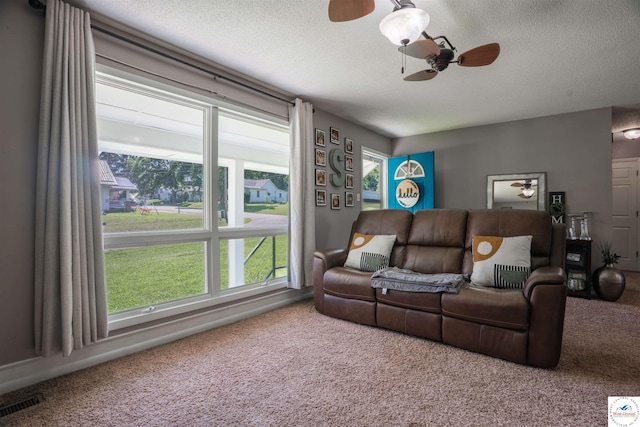 416 W Osage St, Warsaw, MO 65355 - living room with carpet flooring, ceiling fan, a textured ceiling, and plenty of natural light