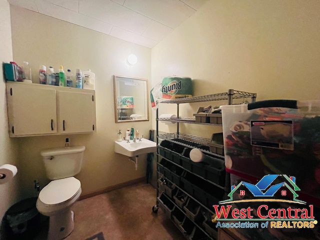 104 E Main St, Cole Camp, MO 65325 - half bathroom featuring toilet, a sink, and vaulted ceiling