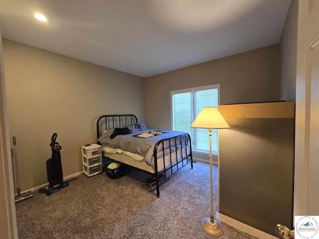 1017 E Trevino Rd, Clinton, MO 64735 - bedroom with carpet and baseboards