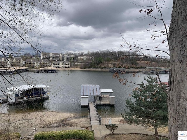 dock area with a water view