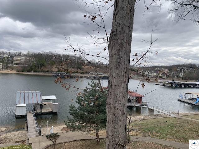 dock area with a water view
