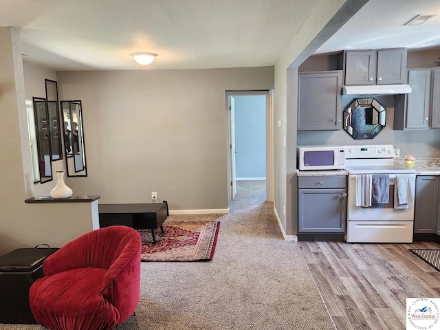 living area with light wood-style flooring and baseboards