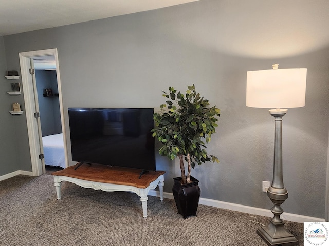 detailed view of carpet floors and baseboards