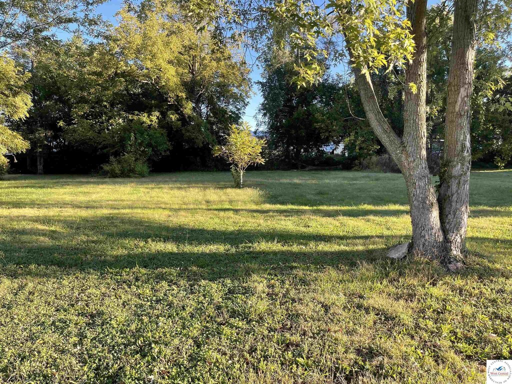 107 E Boonville St, Sedalia, MO 65301 - photo 2