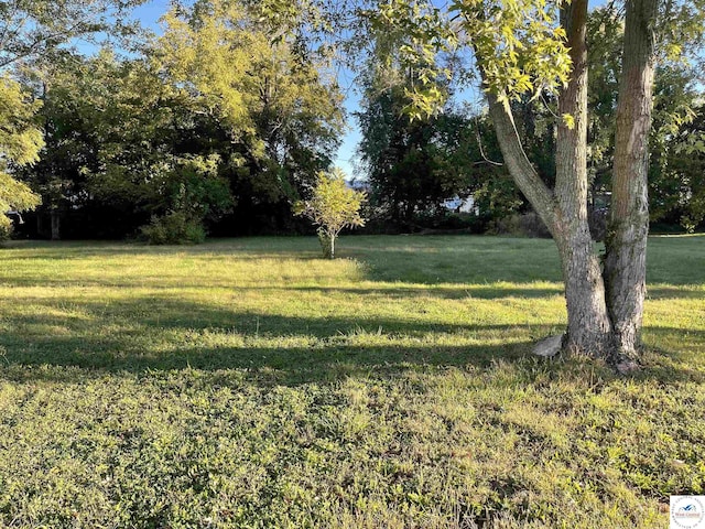 107 E Boonville St, Sedalia, MO 65301 - photo 2