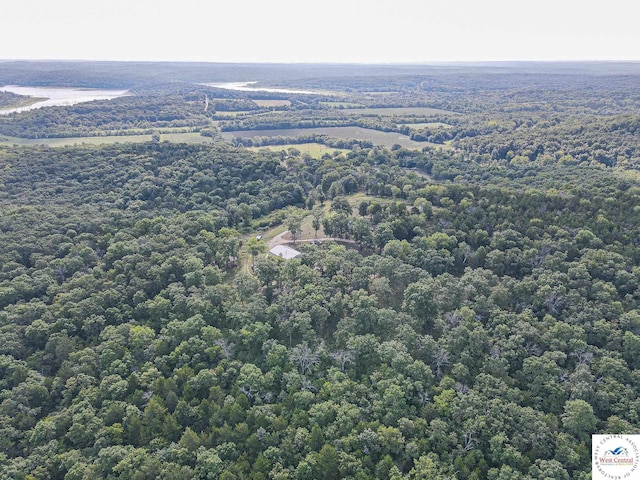 aerial view with a wooded view