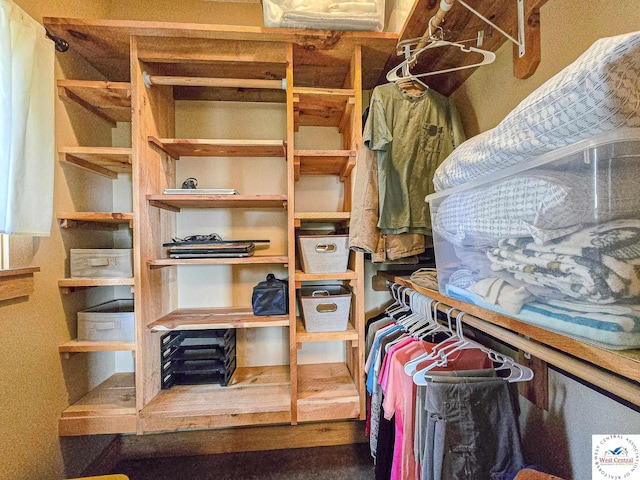 view of spacious closet