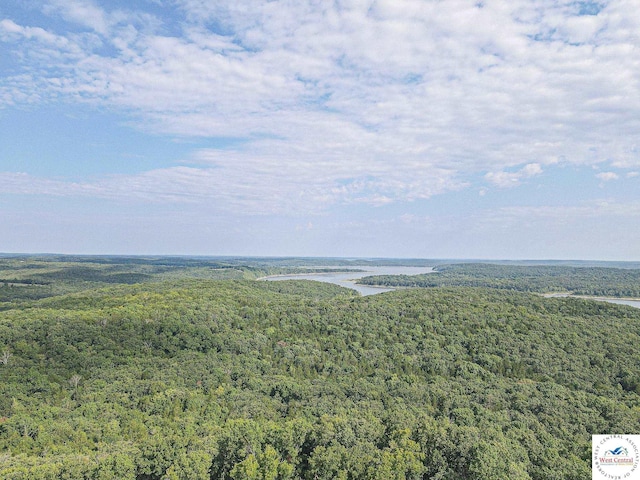 bird's eye view with a forest view
