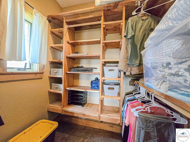 view of walk in closet