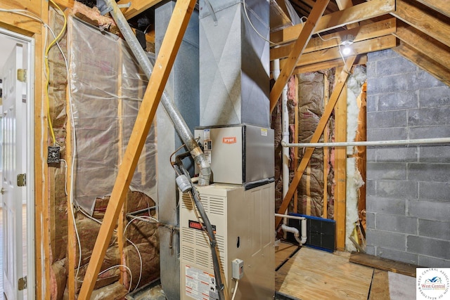 29950 Binder Rd, Green Ridge, MO 65332 - utilities with heating unit