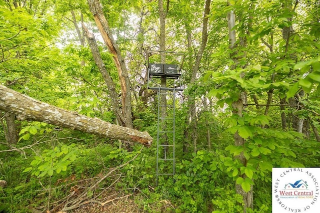 TRACTA NE 900th Rd, Knob Noster, MO 65336