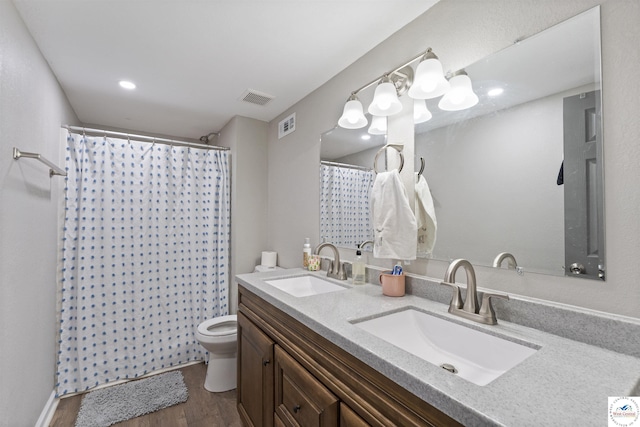 917 N Washboard Rd, Sibley, MO 64088 - full bathroom featuring wood finished floors, toilet, double vanity, and curtained shower