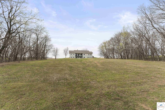 917 N Washboard Rd, Sibley, MO 64088 - view of green lawn