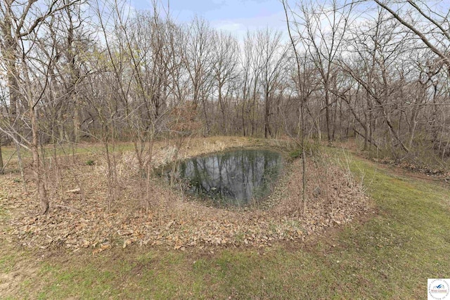 917 N Washboard Rd, Sibley, MO 64088 - water view with a forest