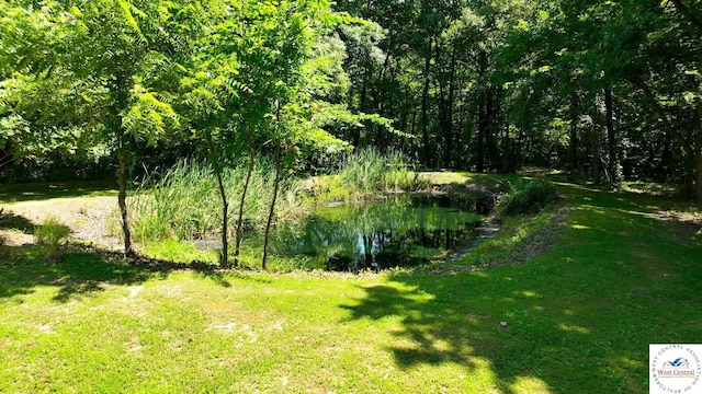 917 N Washboard Rd, Sibley, MO 64088 - view of green lawn