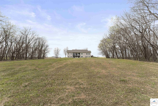 917 N Washboard Rd, Sibley, MO 64088 - view of green lawn