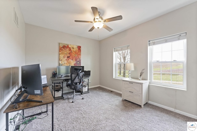 917 N Washboard Rd, Sibley, MO 64088 - office space featuring light colored carpet, ceiling fan, and baseboards