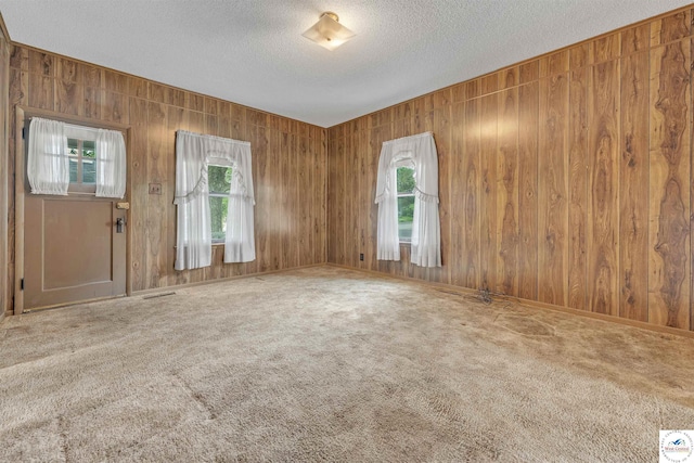 empty room with carpet floors, wood walls, a textured ceiling, and a healthy amount of sunlight