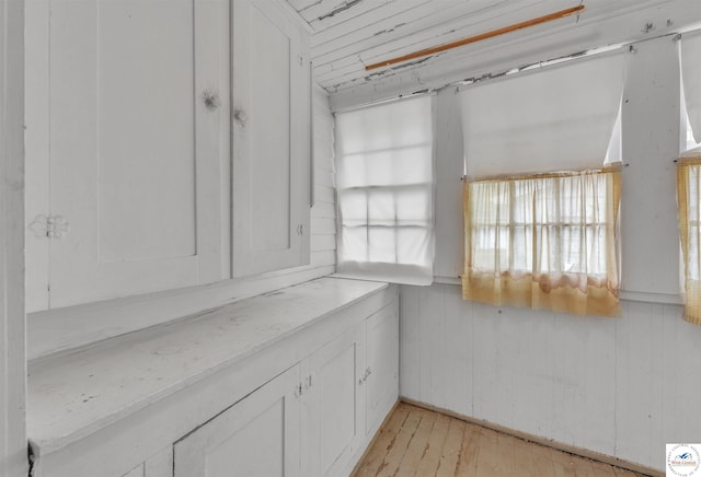 interior space with light wood-type flooring
