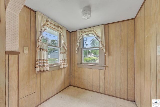 unfurnished room featuring light colored carpet and wood walls
