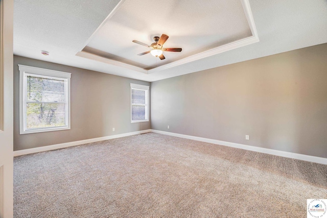 spare room featuring a raised ceiling, plenty of natural light, ceiling fan, carpet flooring, and crown molding