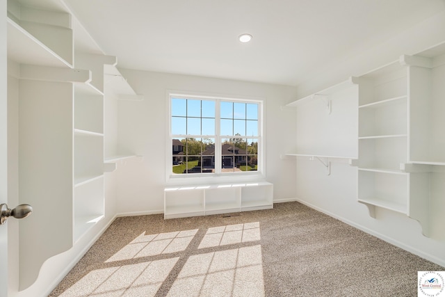 walk in closet featuring carpet floors