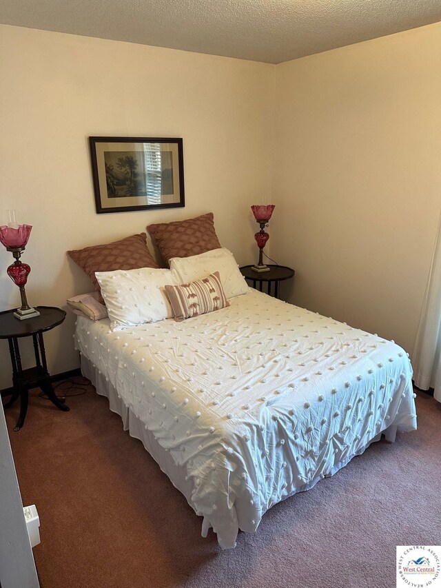 101 N Connie Dr, Clinton, MO 64735 - view of carpeted bedroom
