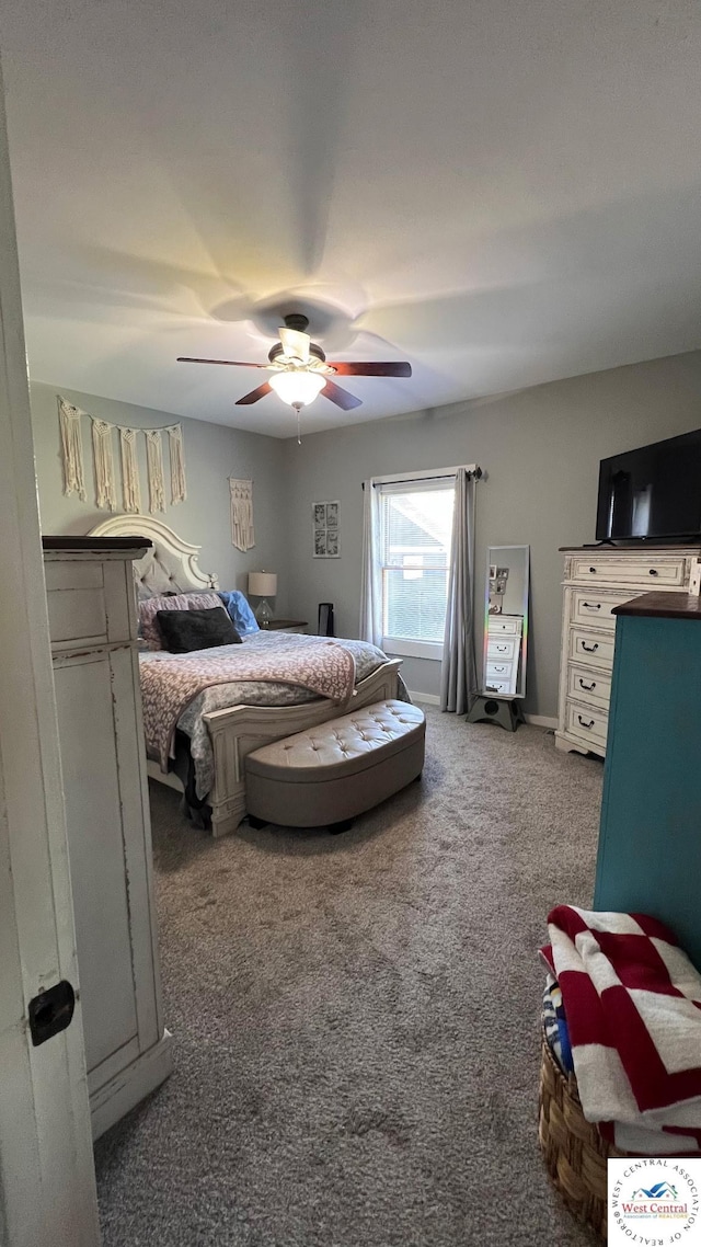 902 Peach St, Cole Camp, MO 65325 - photo 21