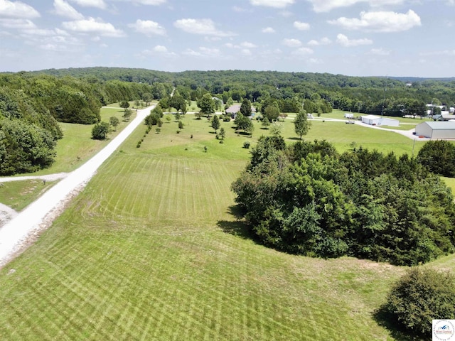 18248 Moonlight Ln, Warsaw, MO 65355 - photo 53