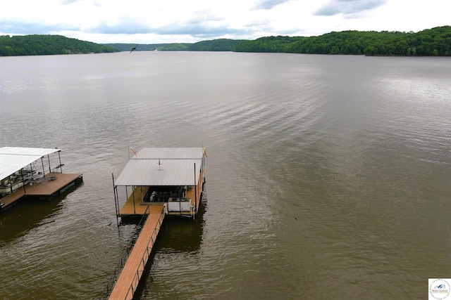 31150 Highview Rd, Edwards, MO 65326 - dock area with a water view, boat lift, and a view of trees