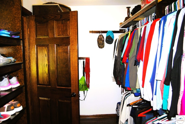 31150 Highview Rd, Edwards, MO 65326 - view of spacious closet