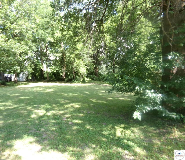 1005 Daisy St, Sweet Springs, MO 65351 - photo 2
