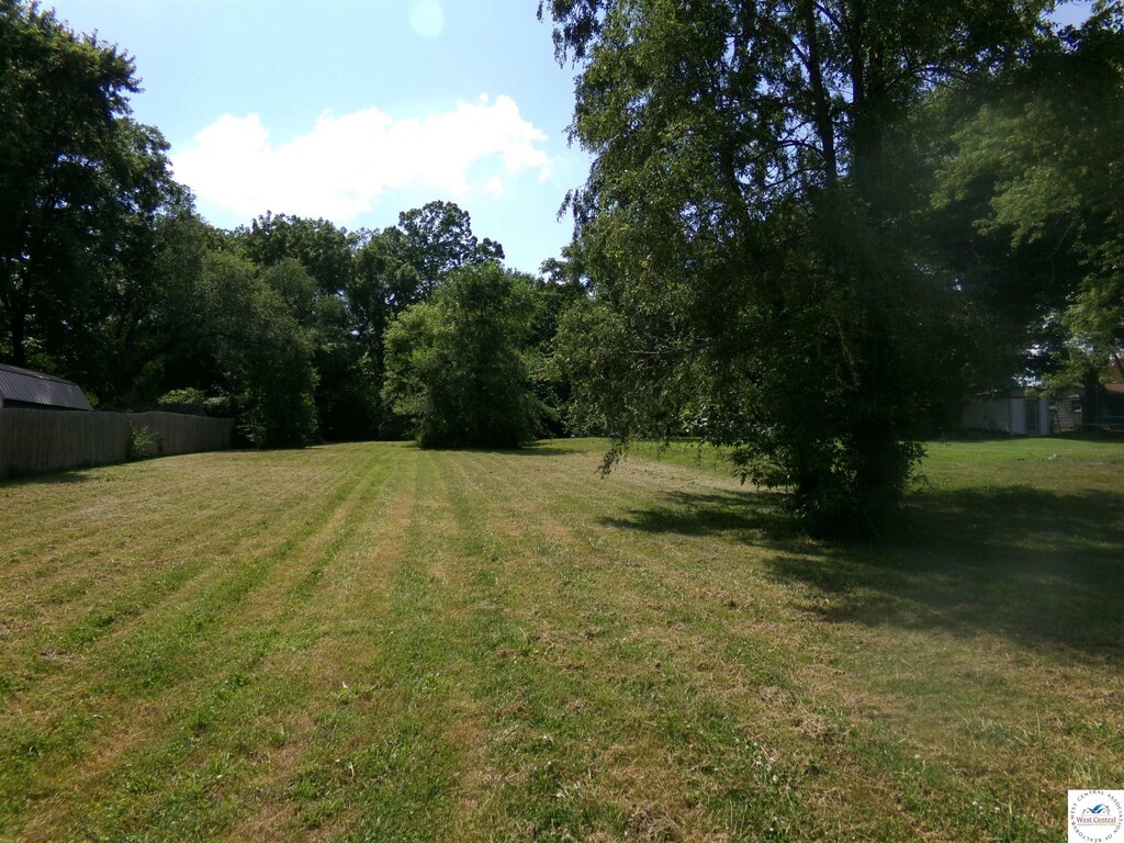 1005 Daisy St, Sweet Springs, MO 65351 - photo 3