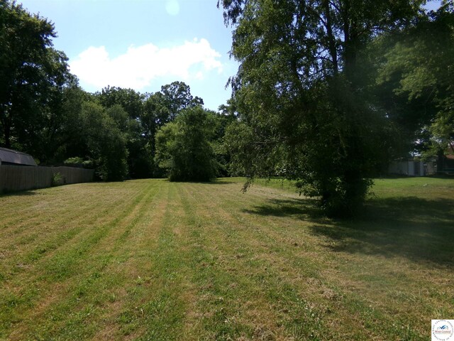 1005 Daisy St, Sweet Springs, MO 65351 - photo 3