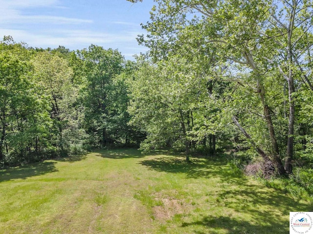 20390 Kindle Rd, Warsaw, MO 65355 - view of grassy yard with a forest view