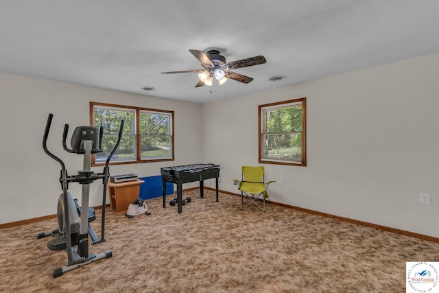 20390 Kindle Rd, Warsaw, MO 65355 - workout area with a ceiling fan, plenty of natural light, carpet floors, and baseboards