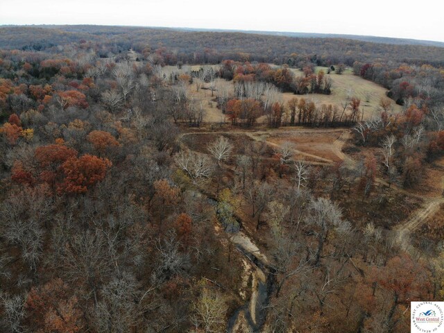 001 SW 50th Rd, Osceola, MO 64776 - photo 6