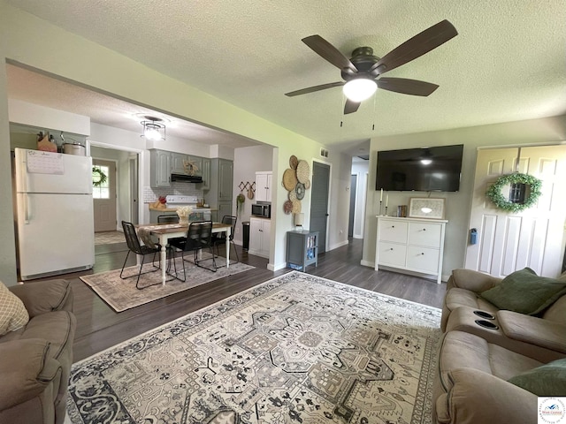22756 Hickory Chapel Ave, Lincoln, MO 65338 - living room featuring dark wood-type flooring, a ceiling fan, a textured ceiling, and baseboards